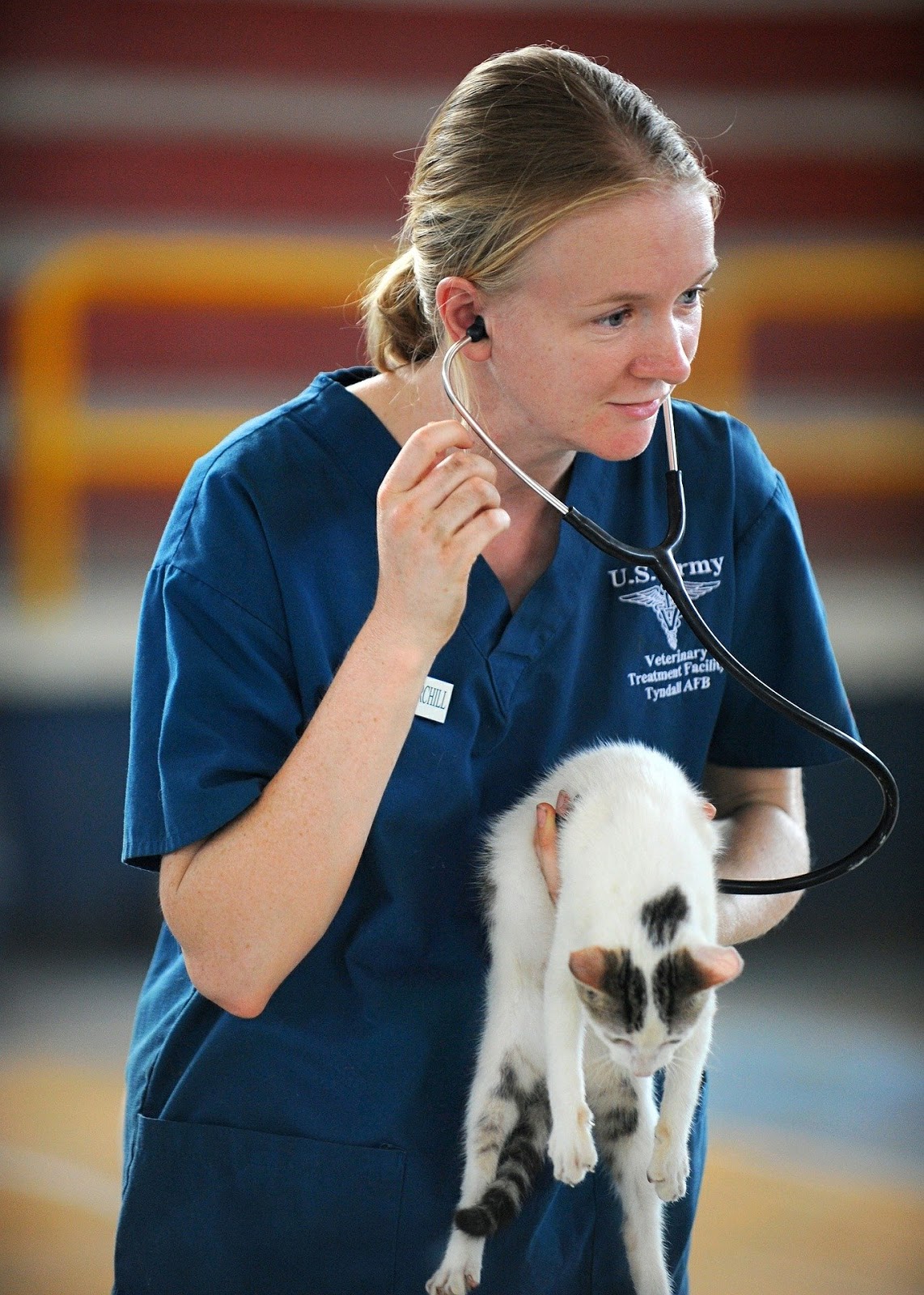 veterinarian with a cat