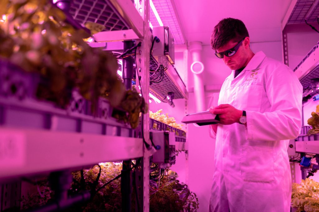 Scientists studying plants in lab 