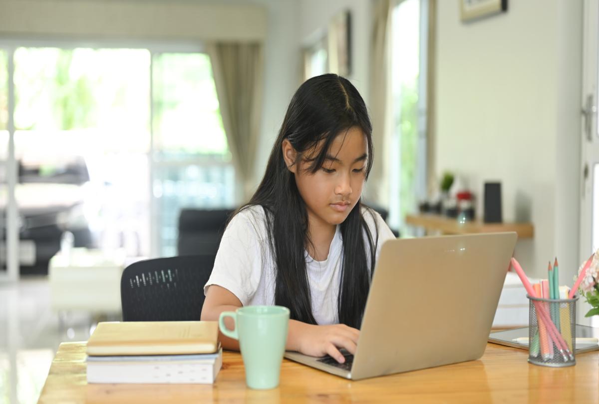 Young student working with an online tutor