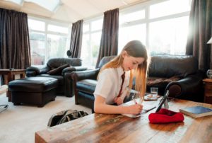 Student working at home with online tutor